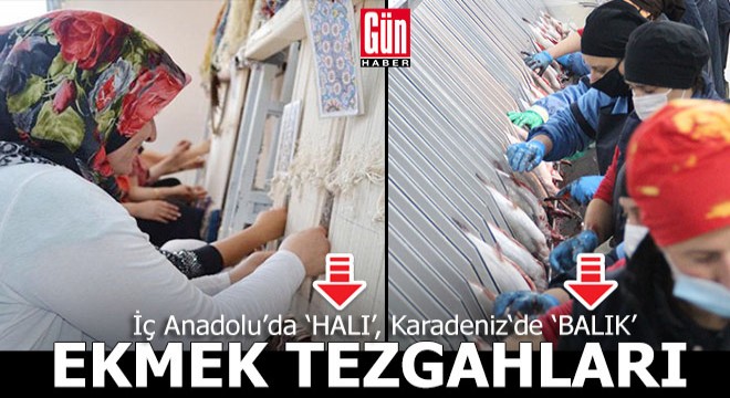 Karadeniz'de 'BALIK', İç Anadolu'da 'HALI' tezgahları