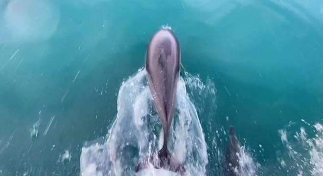 Karadeniz'de av yasağına sıkı denetim