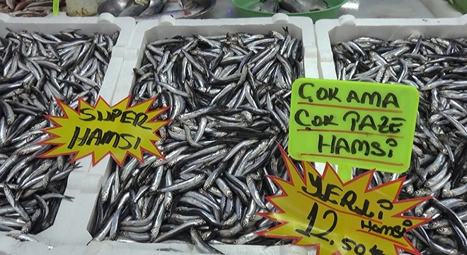 Karadeniz'de balık azlığı, fiyatlara yansıyor