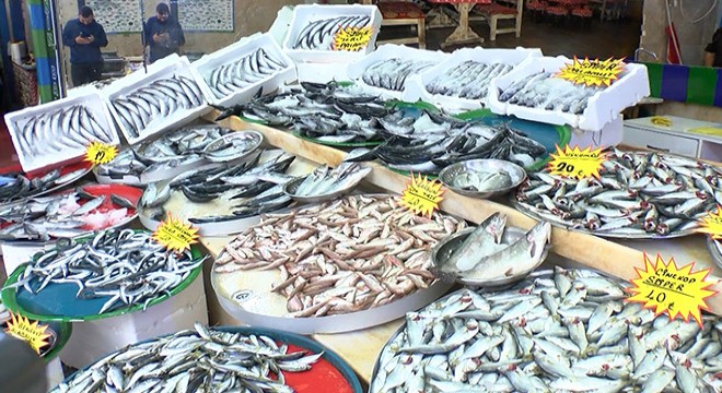 Karadeniz'de balık tezgahlarda, hamsi bekleniyor