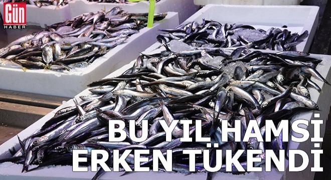 Karadeniz'de bu yıl hamsi erken tükendi