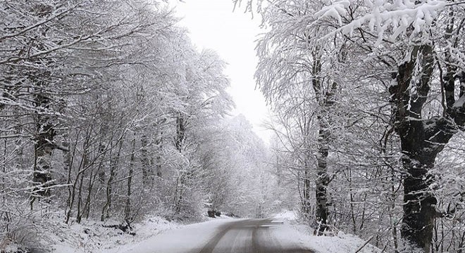 Karadeniz'de eğitime kar tatili