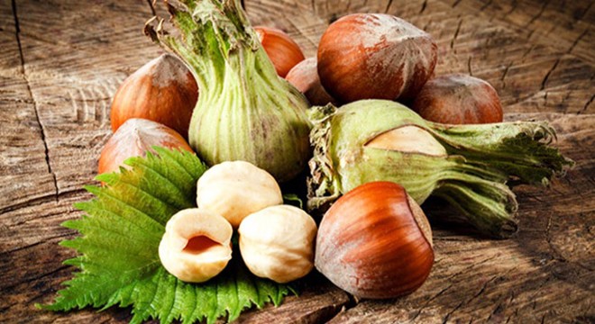 Karadeniz'de fındık tezgaha 15 liradan indi