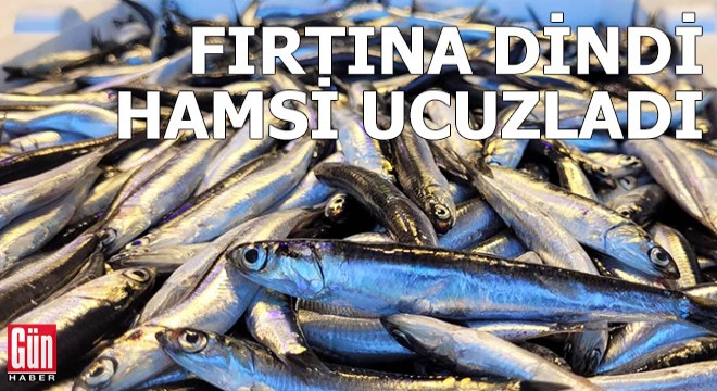 Karadeniz'de fırtına dindi, hamsi ucuzladı