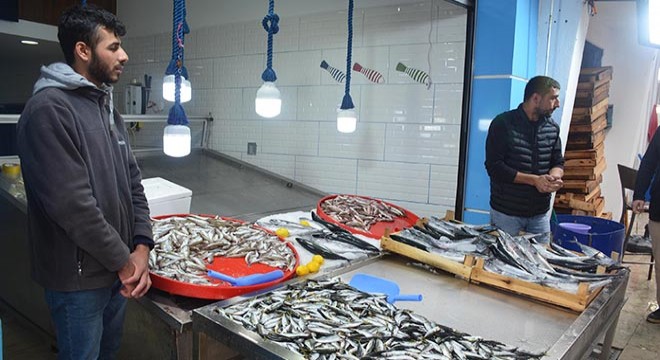 Karadeniz'de fırtına nedeniyle balık fiyatları katlandı