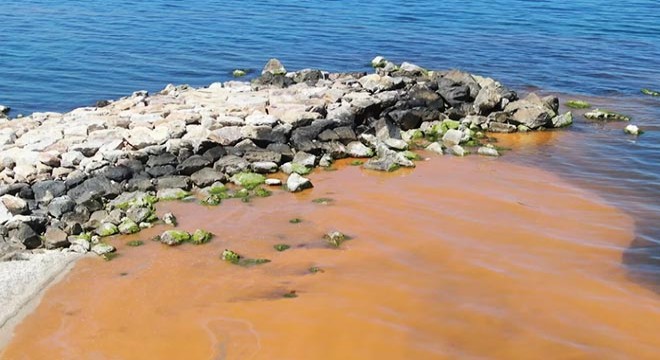 Karadeniz'de korkutan renk değişimi