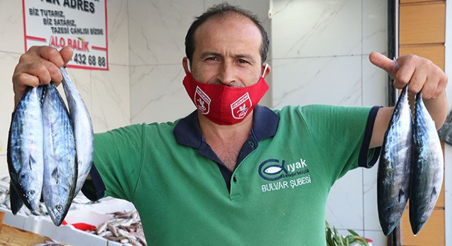 Karadeniz'de palamut bolluğu, yüz güldürdü