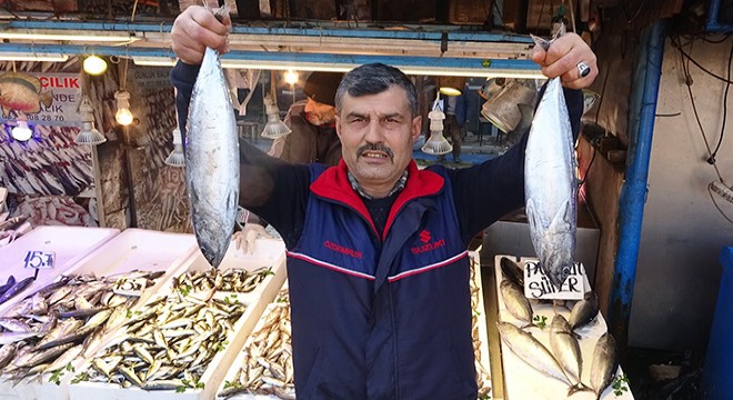 Karadeniz'de palamut geri döndü