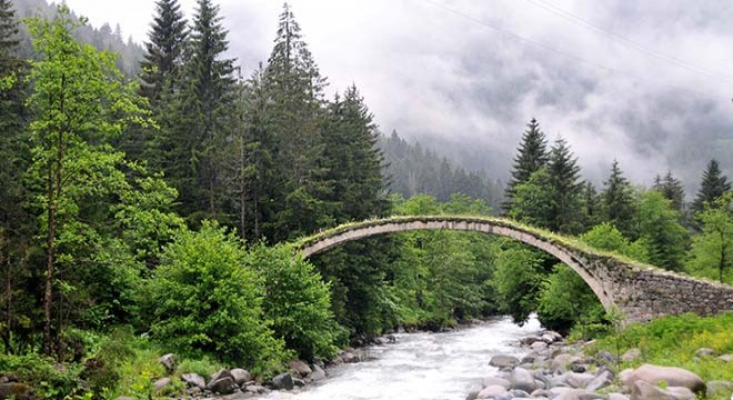 Karadeniz'de sel sonrası da 'kuraklık' tehlikesi