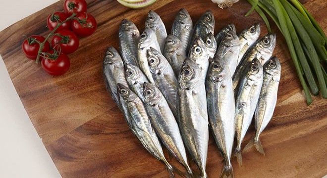 Karadeniz'de sezonun ilk avında 'istavrit' bereketi