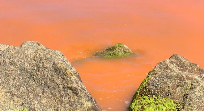 Karadeniz'deki renk değişiminin sırrı çözüldü