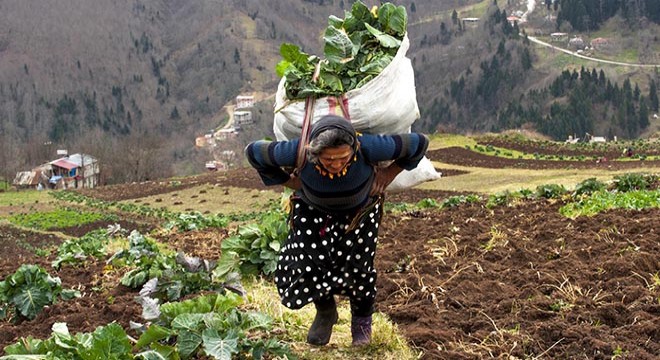 Karadeniz'in çalışkan kadınlarını, pandemi de durduramadı