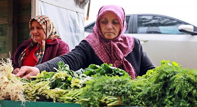 Karadeniz'in organik pazarına ilgi