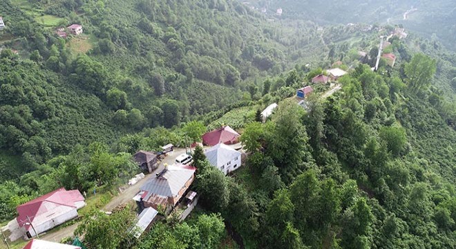 Karadeniz'in tepedeki sıralı evleri ilgi çekiyor