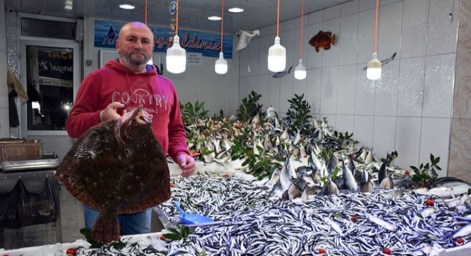 Karadeniz’de balık bolluğu