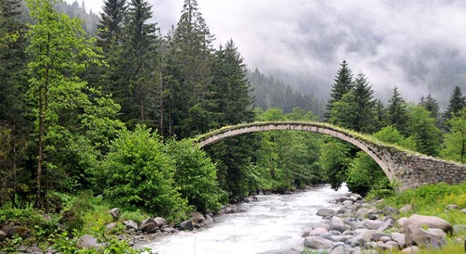 Karadeniz’de bitkisel üretimde ‘çok şiddetli kuralık’ tehdidi