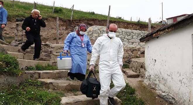 Karadeniz yaylalarında  aşı  mesaisi