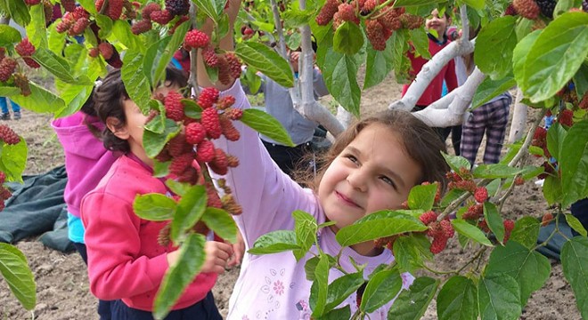 Karadut Hasat Şenliği'nde renkli görüntüler