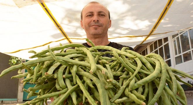 Karakızlar'daki börülce festivali ilgi gördü