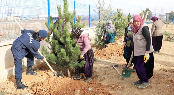 Karakol bahçesine 60 fidan dikildi