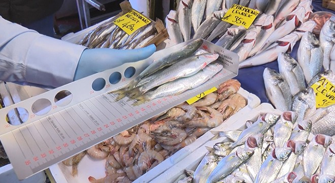 Karaköy'de balık boyu denetimi