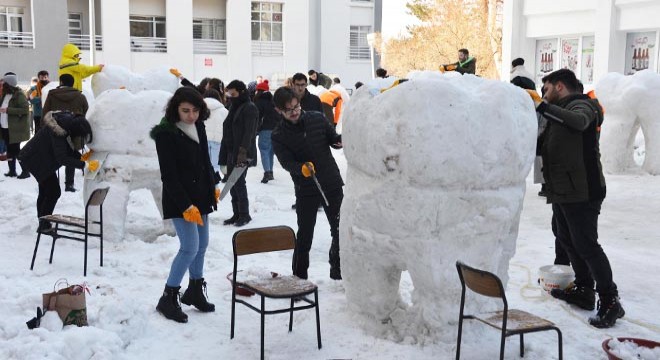 Kardan diş festivali