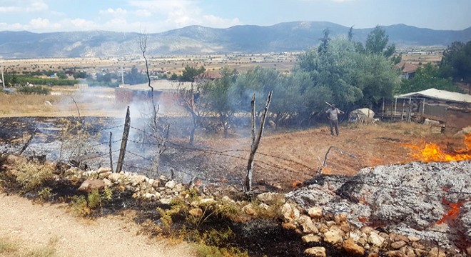 Kargalar yangın çıkardı