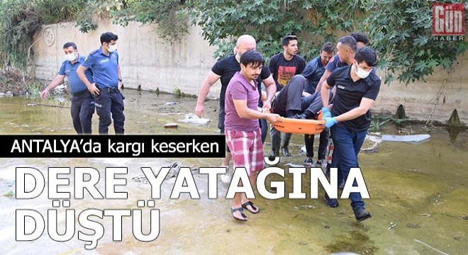 Kargı keserken dere yatağına düştü