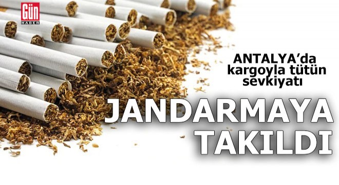 Kargoyla tütün sevkiyatı jandarmaya takıldı