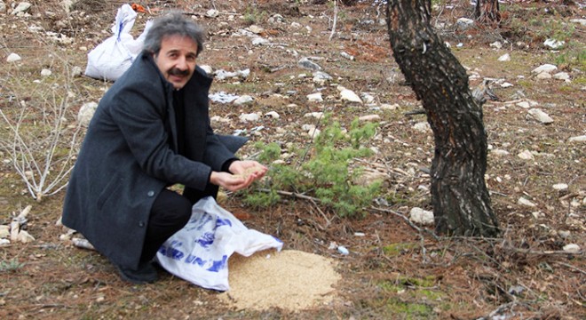 Karlı bölgelere hayvanlar için yem bırakıldı