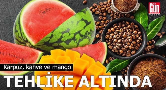 Karpuz, kahve ve mango tehlike altında