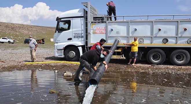 Kars'taki göllere 2 milyon yavru sazan bırakıldı