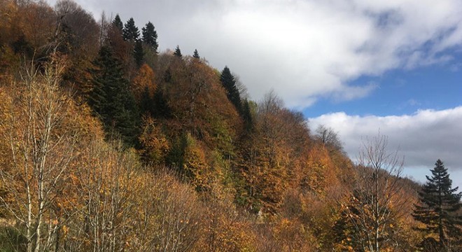 Kartepe'de sonbahar güzelliği