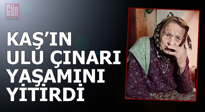 Kaş'ın ulu çınarı yaşamını yitirdi