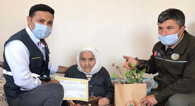 Kaş'ın ulu çınarına ormancılardan ziyaret