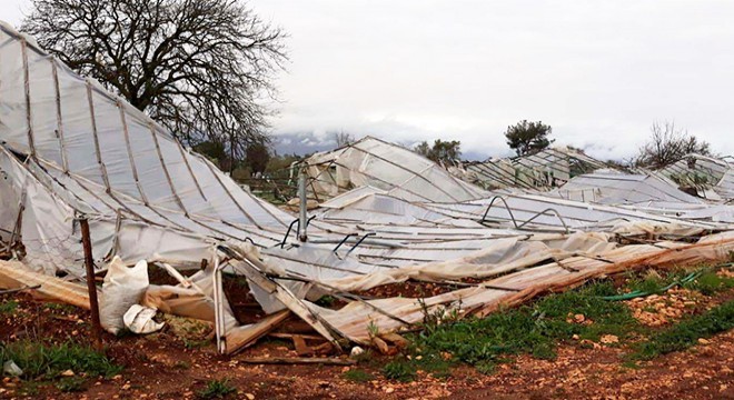 Kaş'ta 500 dekar serada hasar var