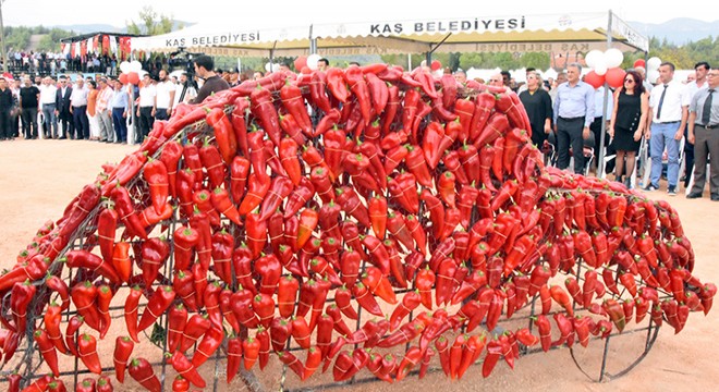 Kaş'ta 'Kapya Biber Festivali'nin ilki düzenlendi