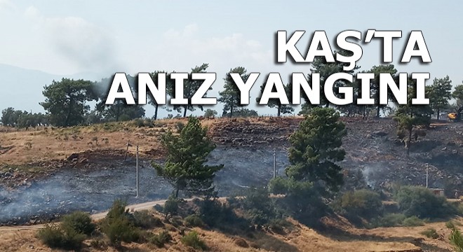 Kaş'ta anız yangını