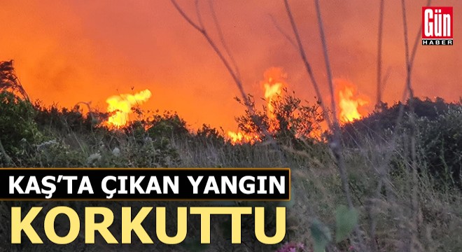 Kaş'ta iki noktada çıkan yangınlar korkuttu