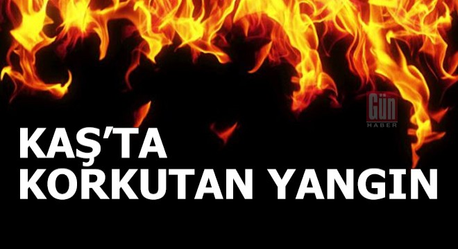 Kaş'ta korkutan yangın