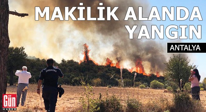 Kaş'ta makilik alanda yangın