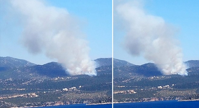 Kaş'ta makilik ve zeytinlikte yangın