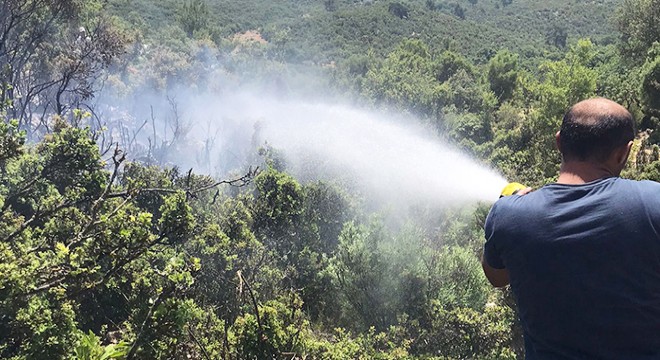 Kaş'ta makilik yangını