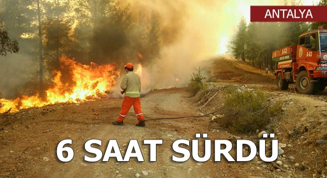 Kaş'ta orman yangını
