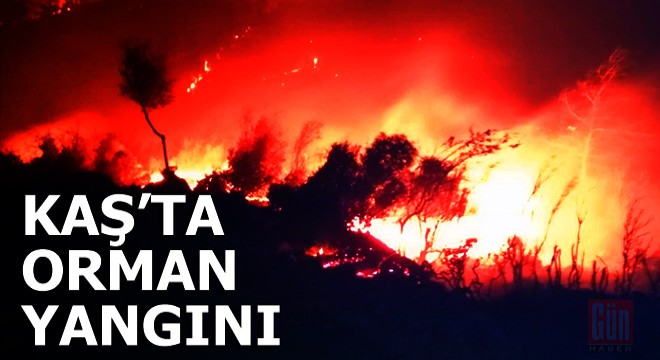 Kaş'ta orman yangını