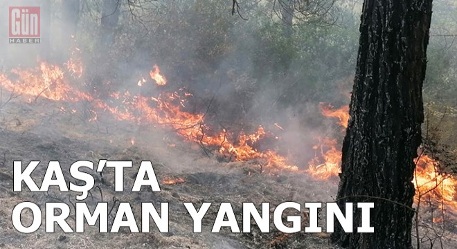 Kaş'ta orman yangını