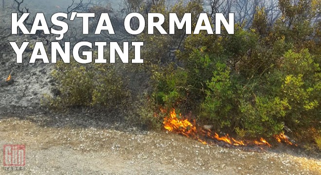 Kaş'ta orman yangını
