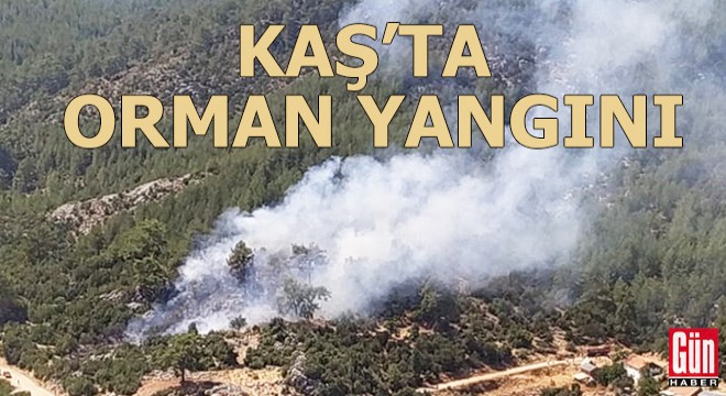 Kaş'ta orman yangını