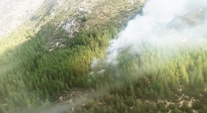 Kaş'ta orman yangını büyümeden söndürüldü