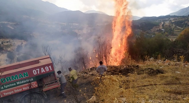 Kaş'ta orman yangınında 2 dekar zarar gördü